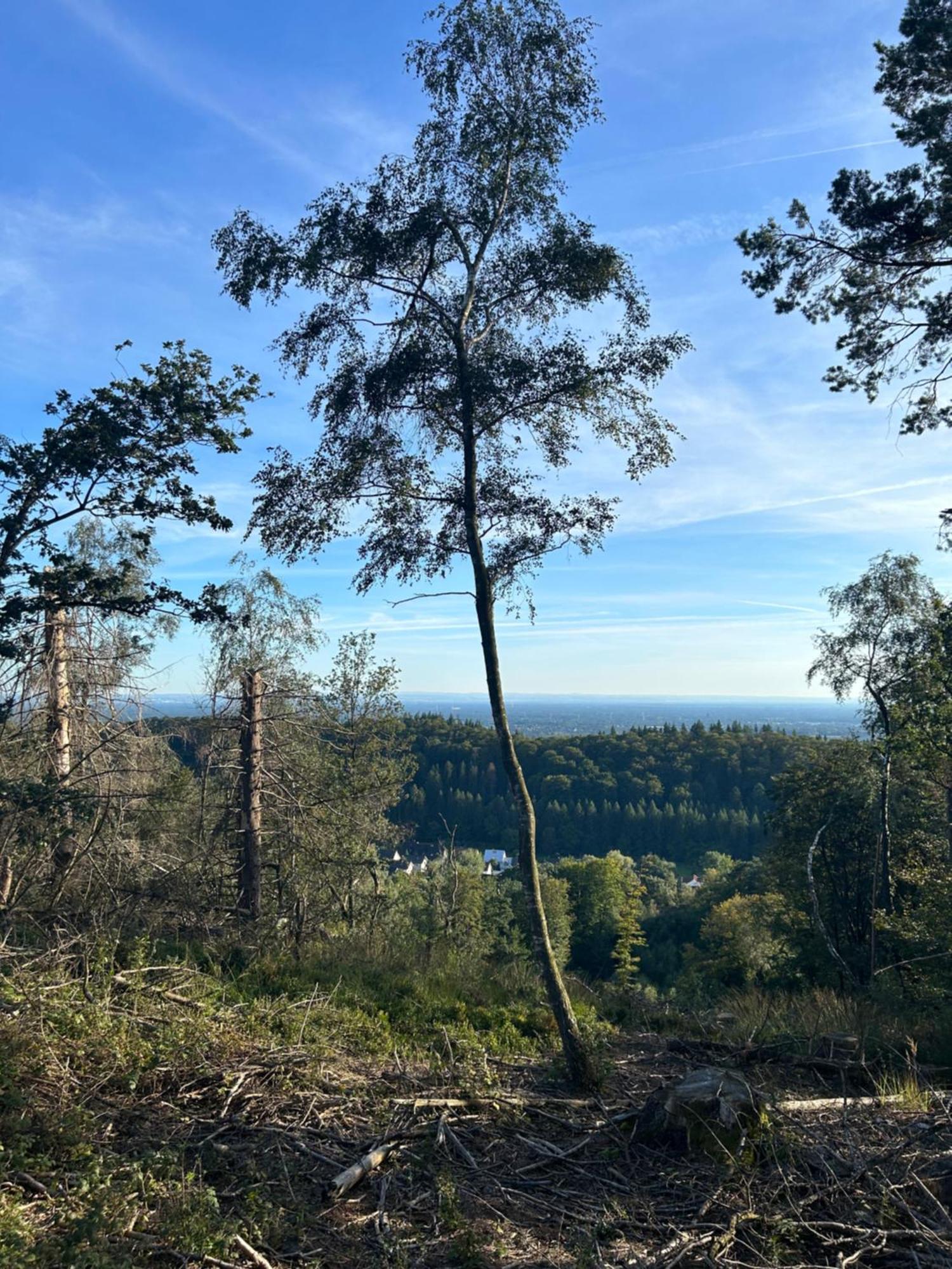 شقة Auszeit Am Toensberg Oerlinghausen Teutoburger Wald المظهر الخارجي الصورة